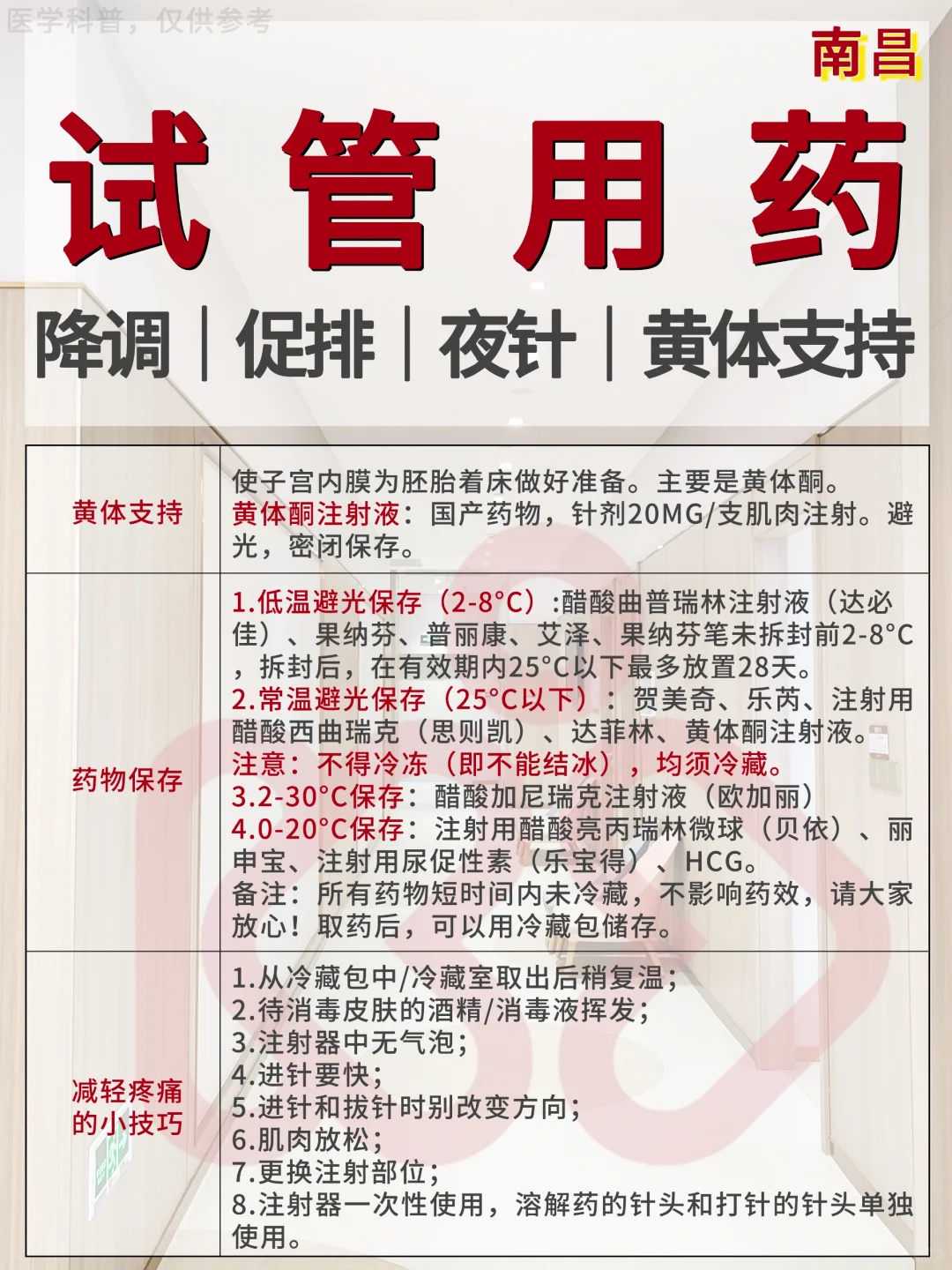 放生什么意义比较大，崇慈法师：比丘是什么意思_比丘的含义