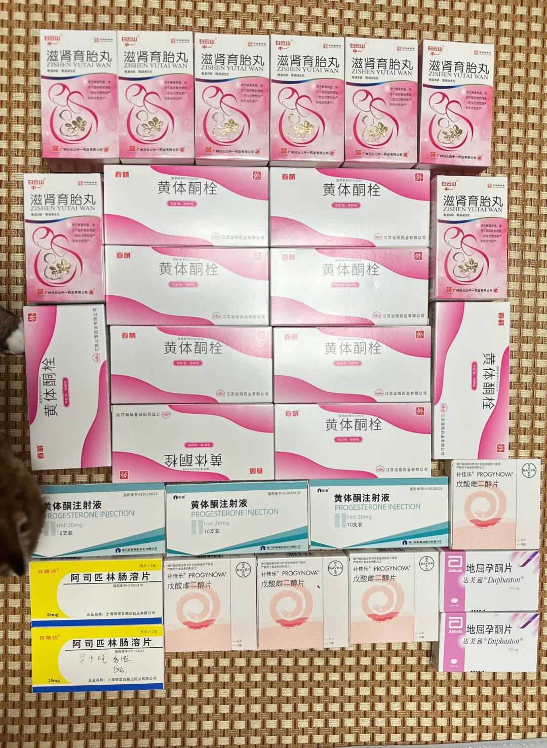 南京姻缘放生什么,南京十姐妹鸟放生能活吗,放生一般是几点钟