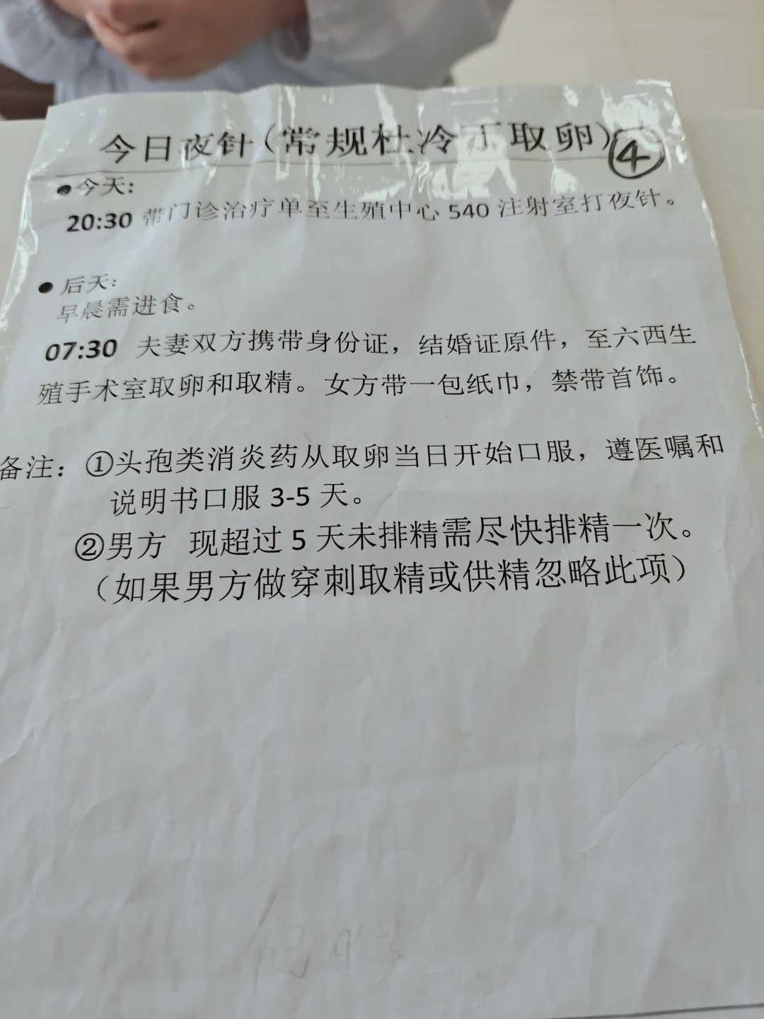 石金钱龟放生到河里能活吗，怎么让乌龟放生能更加顺利
