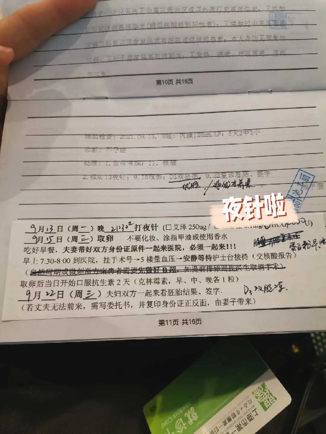 湖北密法放生，湖北乌龟放生有什么寓意，最适合放生的动物