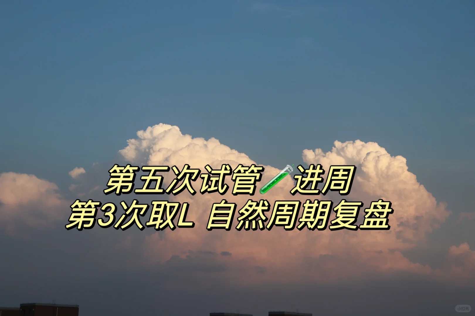 放生泥鳅多少条好，上上周和上周两次放生泥鳅的见闻、感悟和奇异梦境