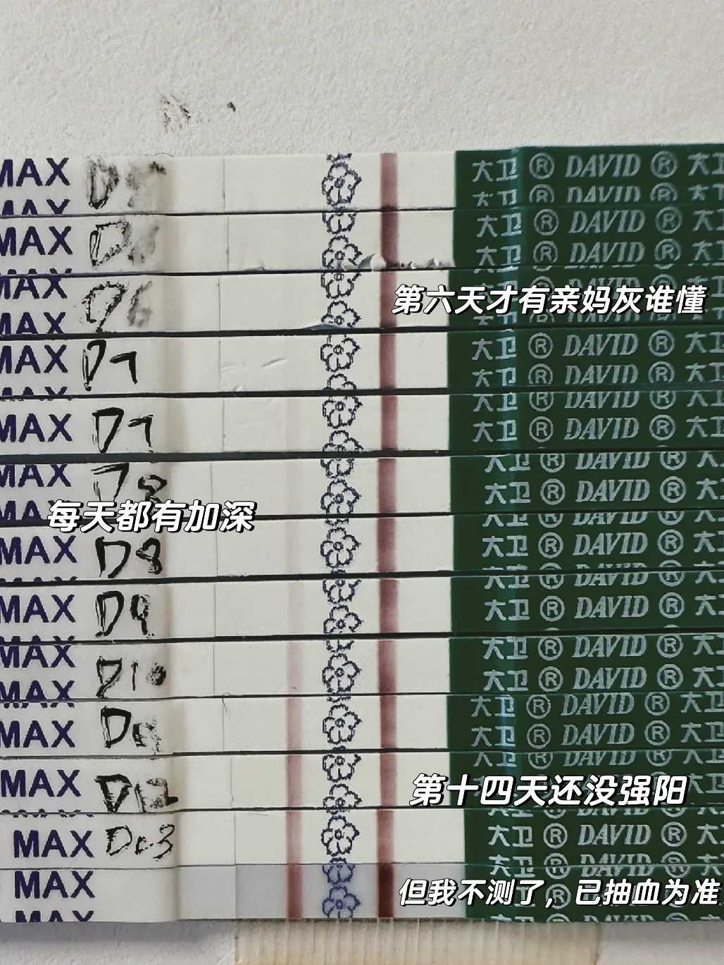 放生消业障吗湖北别人帮忙放生自己要回向吗【集体放生好还是个人放生好】