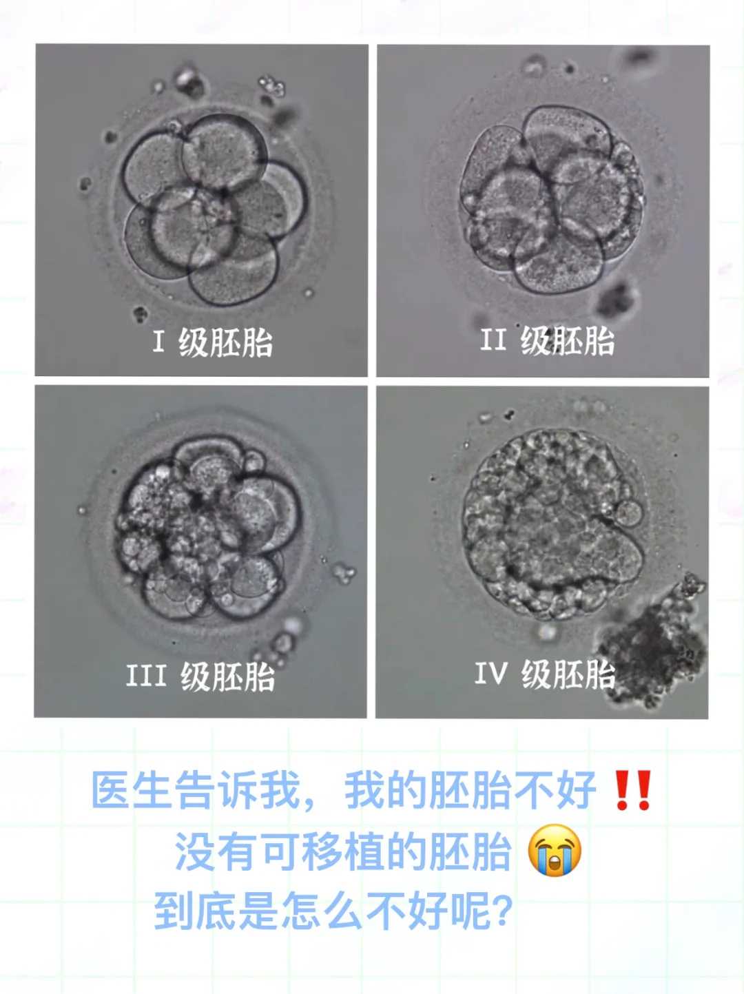 武汉上饶放生组（武汉放生的好地方在哪里）