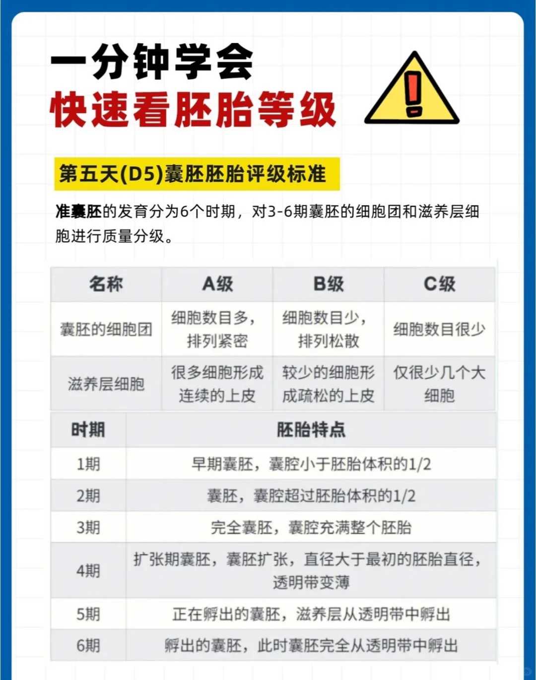 武汉适合放生乌龟的地方有哪些呢，秋爽大和尚挥毫为武汉加油、为一线的医护