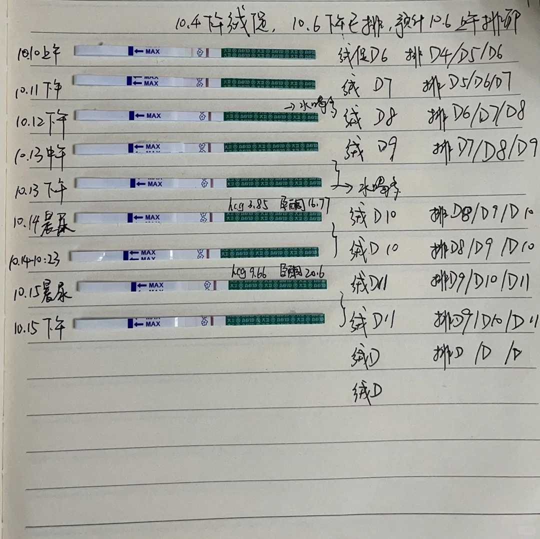 青蛙怎么放生汕尾代放生真的好吗【生日吃素放生的功德】