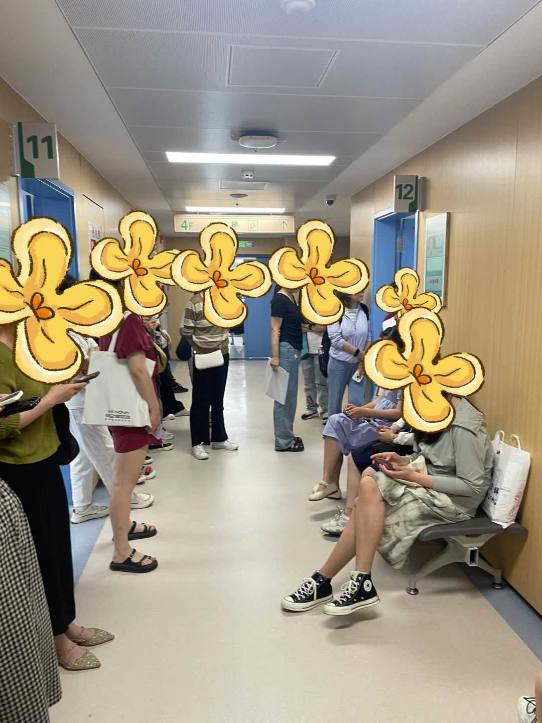 放生买哪种鱼泉州把鱼放生的说说【泉州放生兔子的最佳地点是哪里】