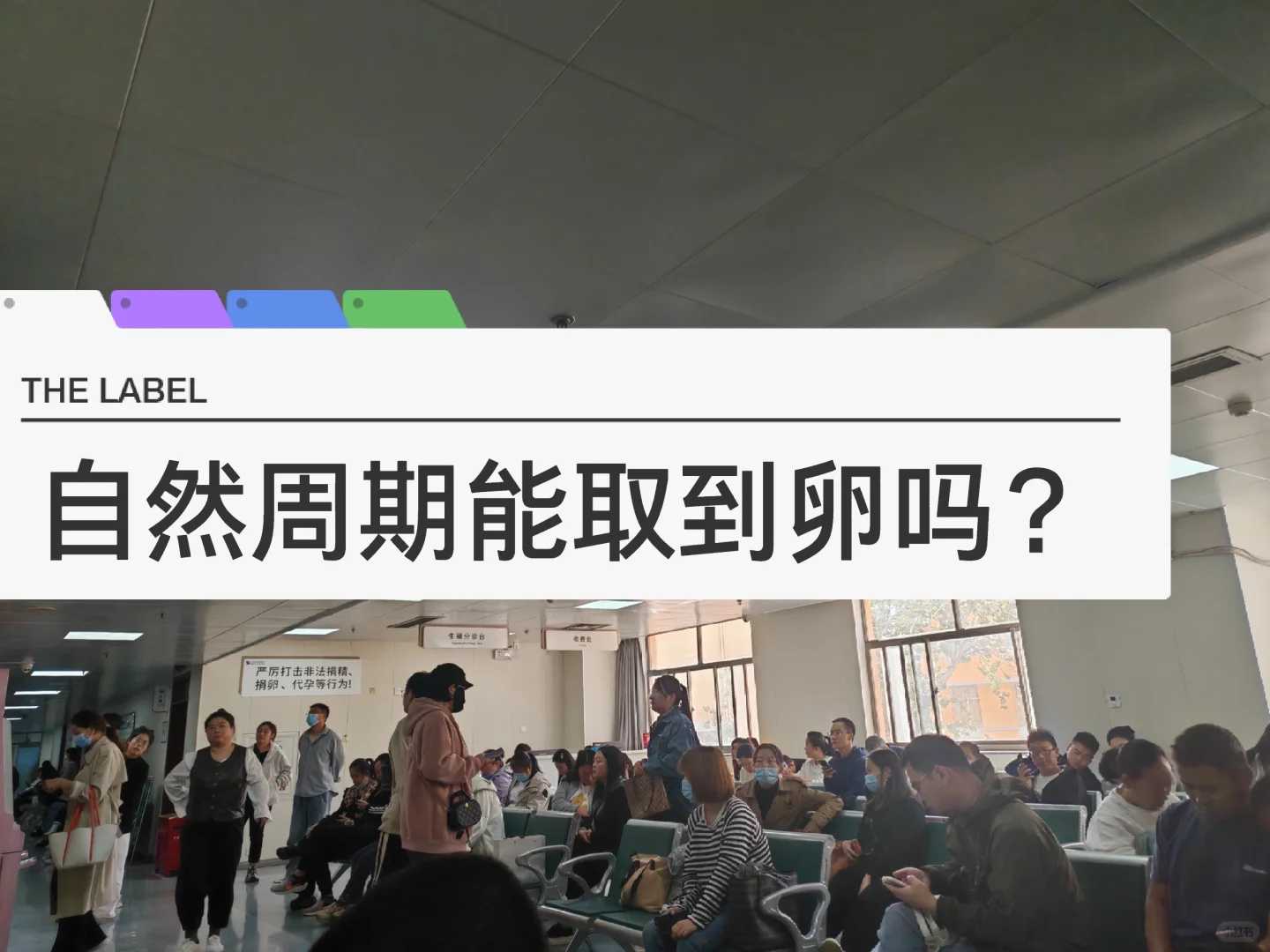 放生的东西需要自己买吗视频，放生的动物被抓就不需放了吗