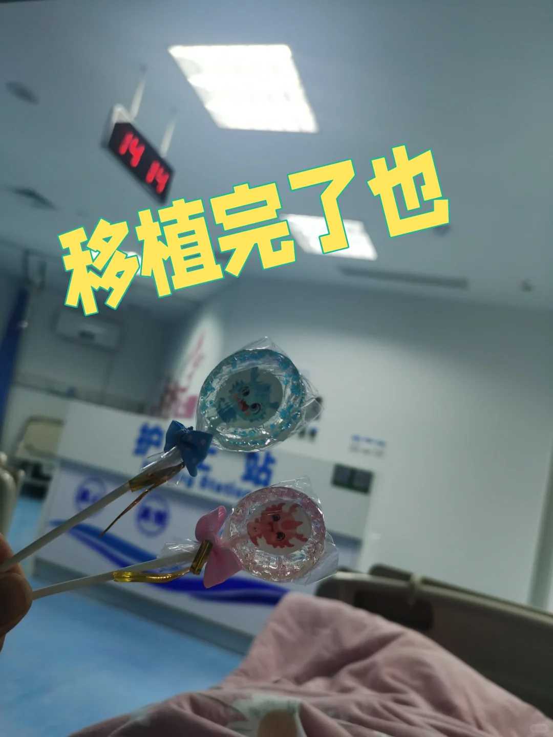 拉萨佛教故事放生，拉萨代放生用的工具，拉萨放生放几条鱼最好