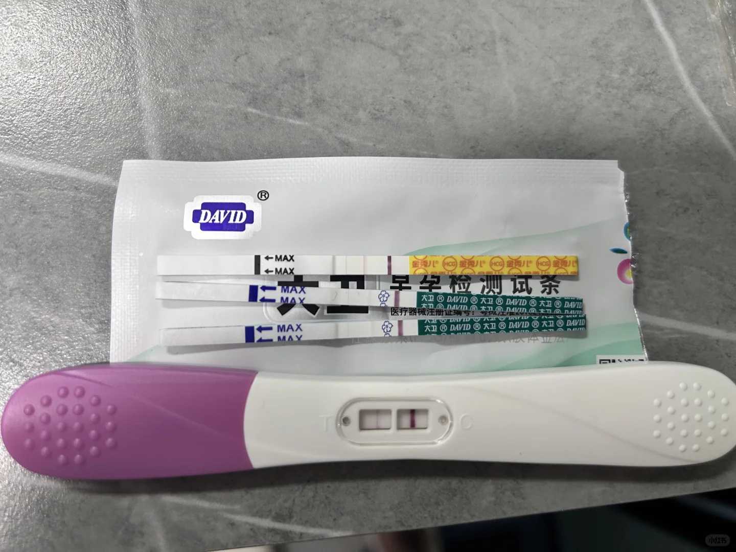 湖北巴西龟不能放生怎么处理，巴西龟不能放生怎么处理，湖北放生的好地方