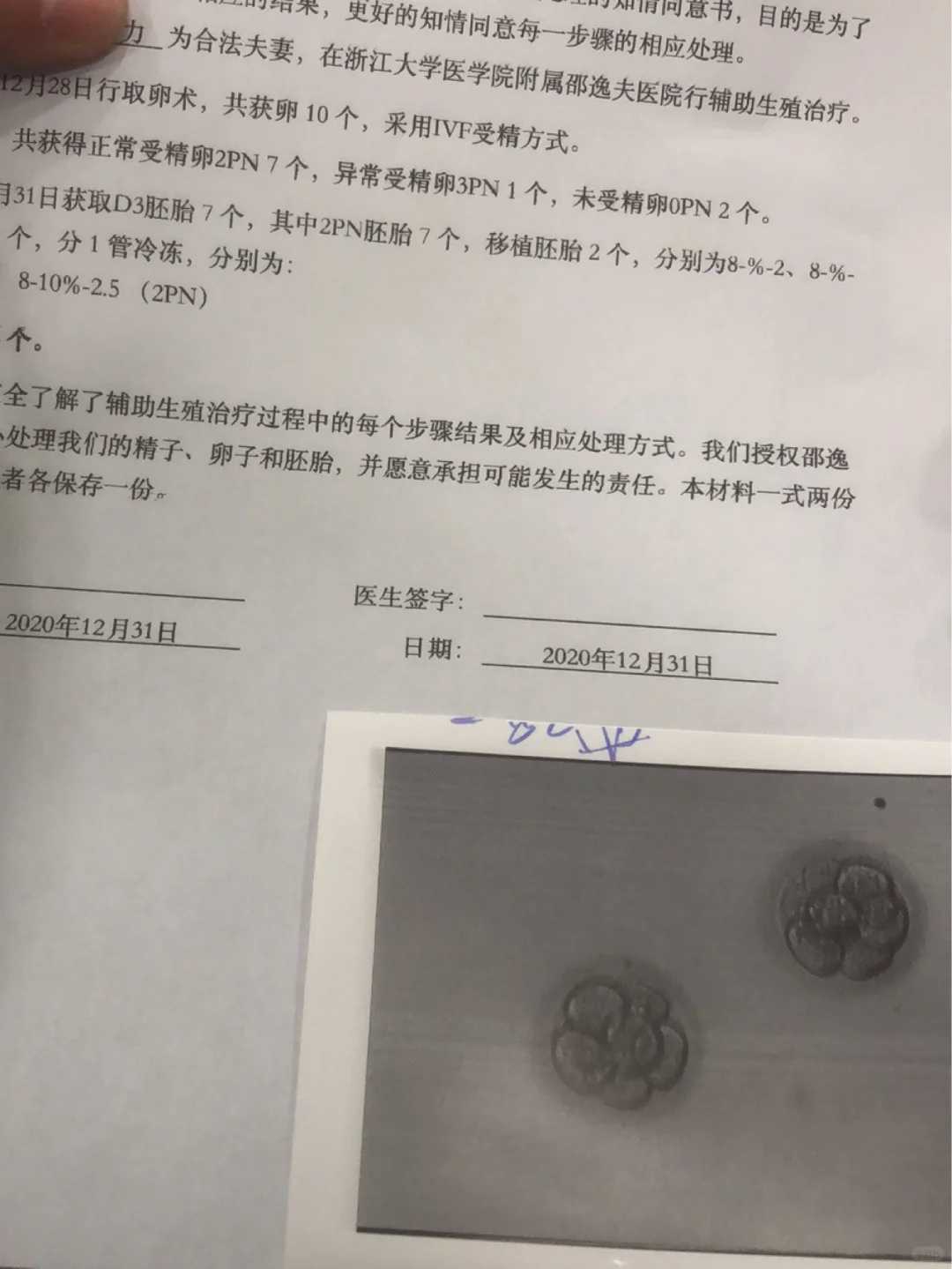 台州放生护生功德，台州放生兔子，今天是什么日子为什么要放生