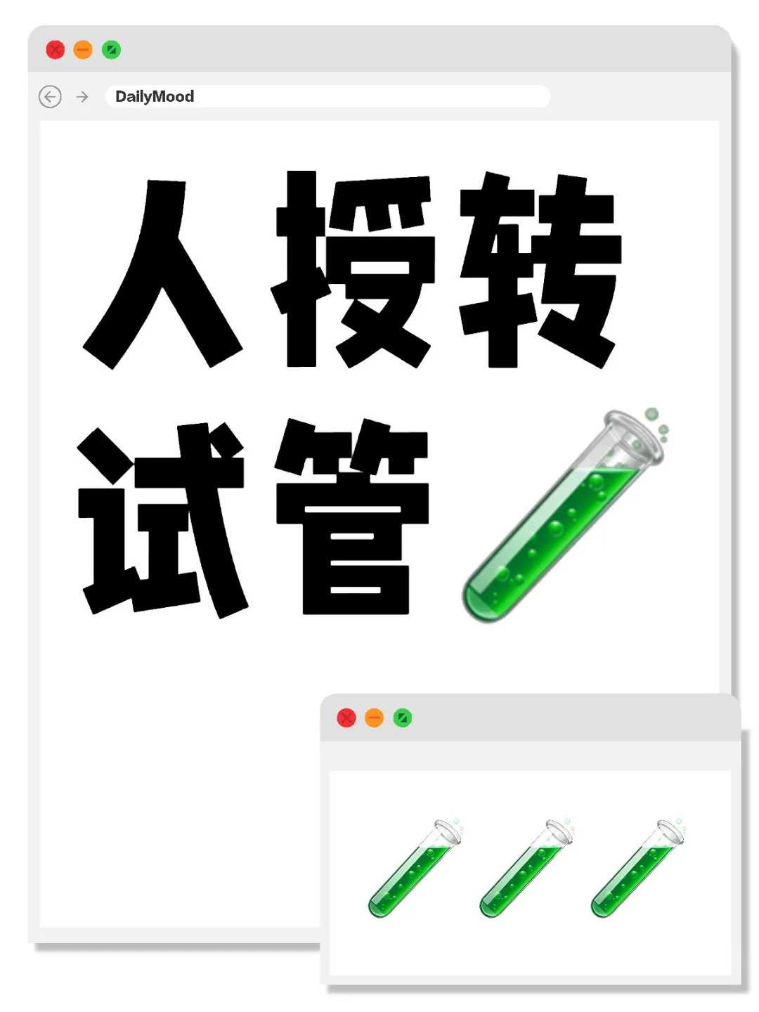 放生团队名字，把名字写在灯笼上
