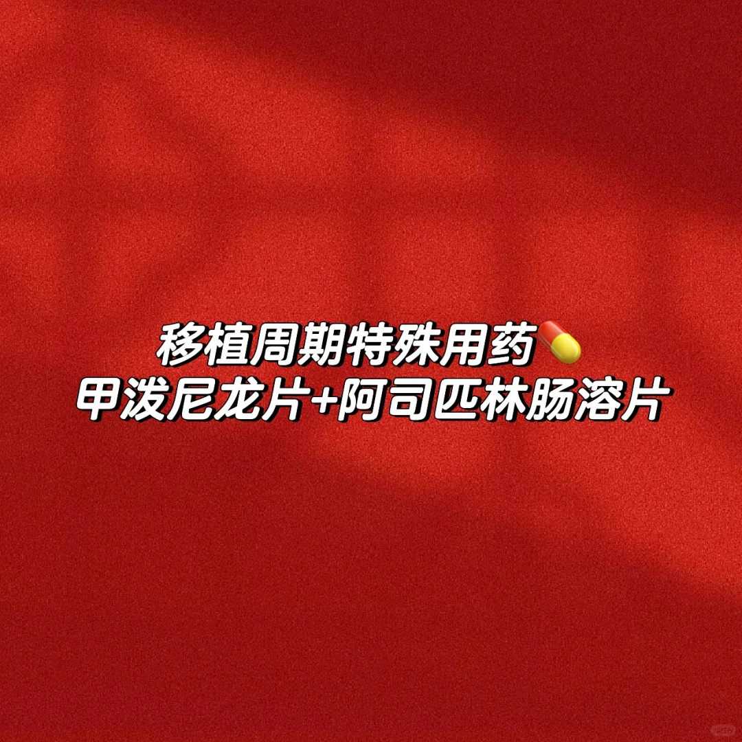 山东钓钓鱼放生会死吗，钓钓鱼放生会死吗，九月九日放生好吗