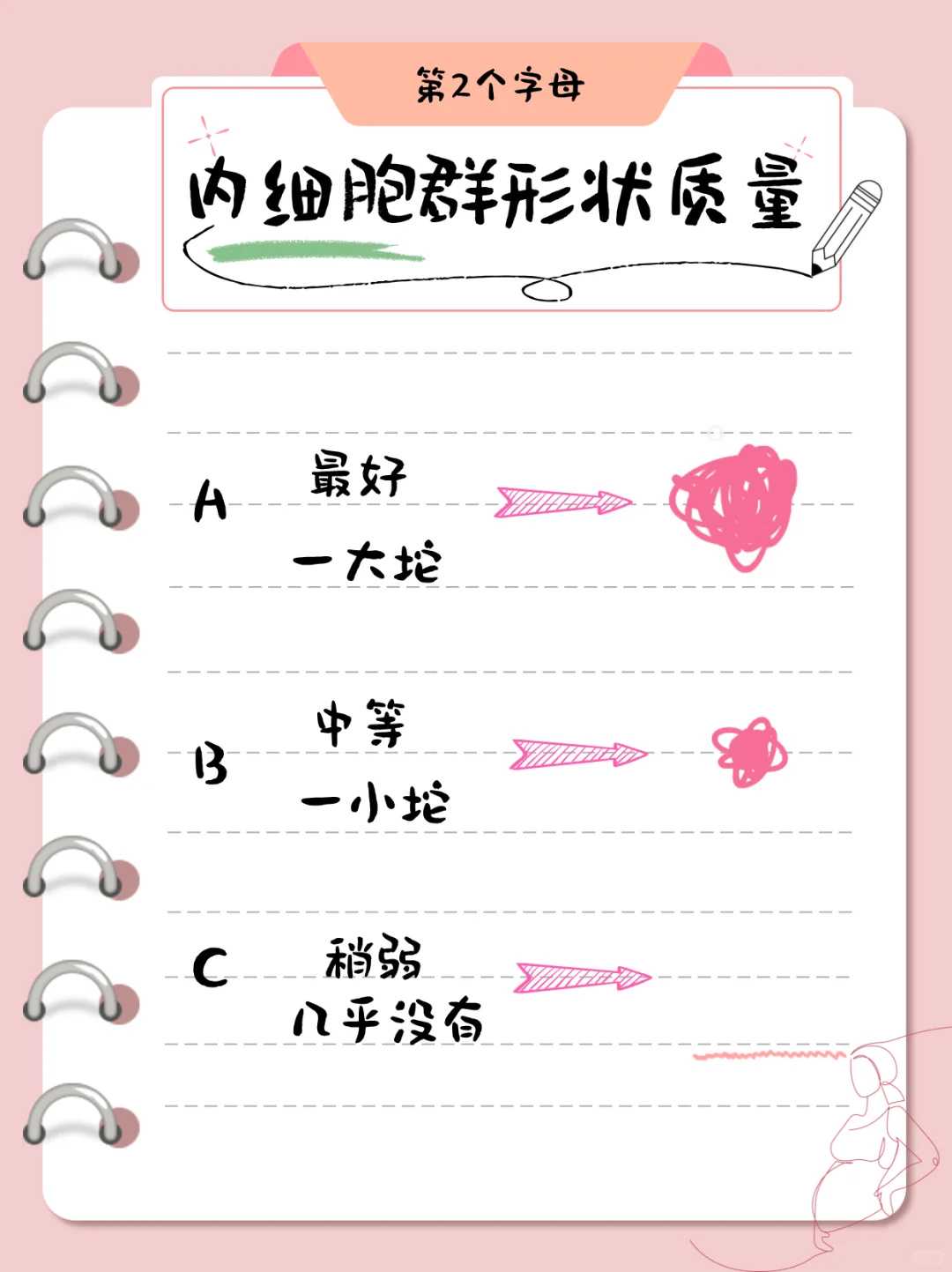 放生功德福报阳江宠物仓鼠放生能活吗【简易的放生仪轨】