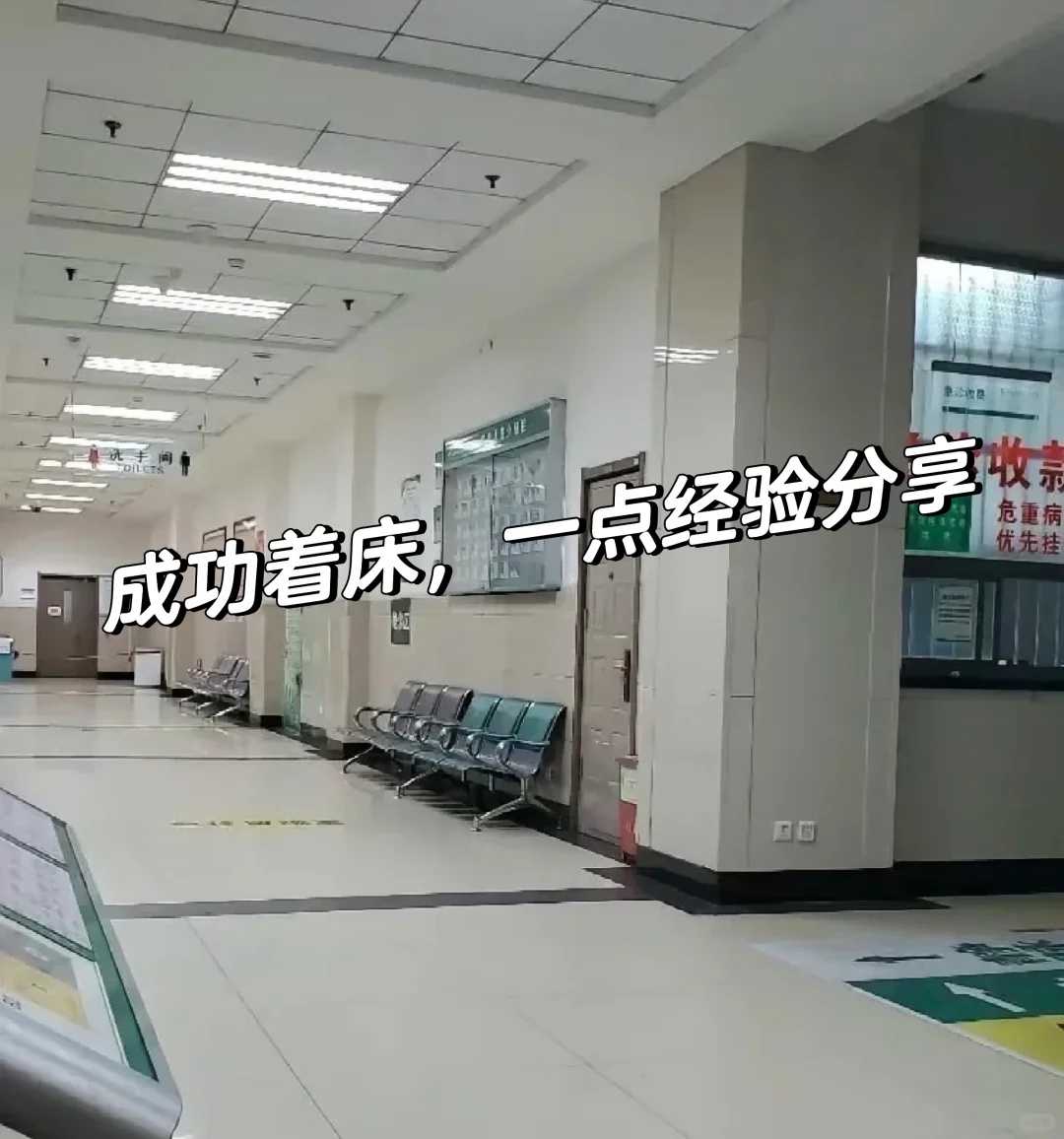 青海腊月初一放生（青海放生去哪里放比较好）