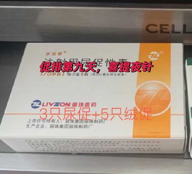 放生鲤鱼，放生指南：放生鱼的经验