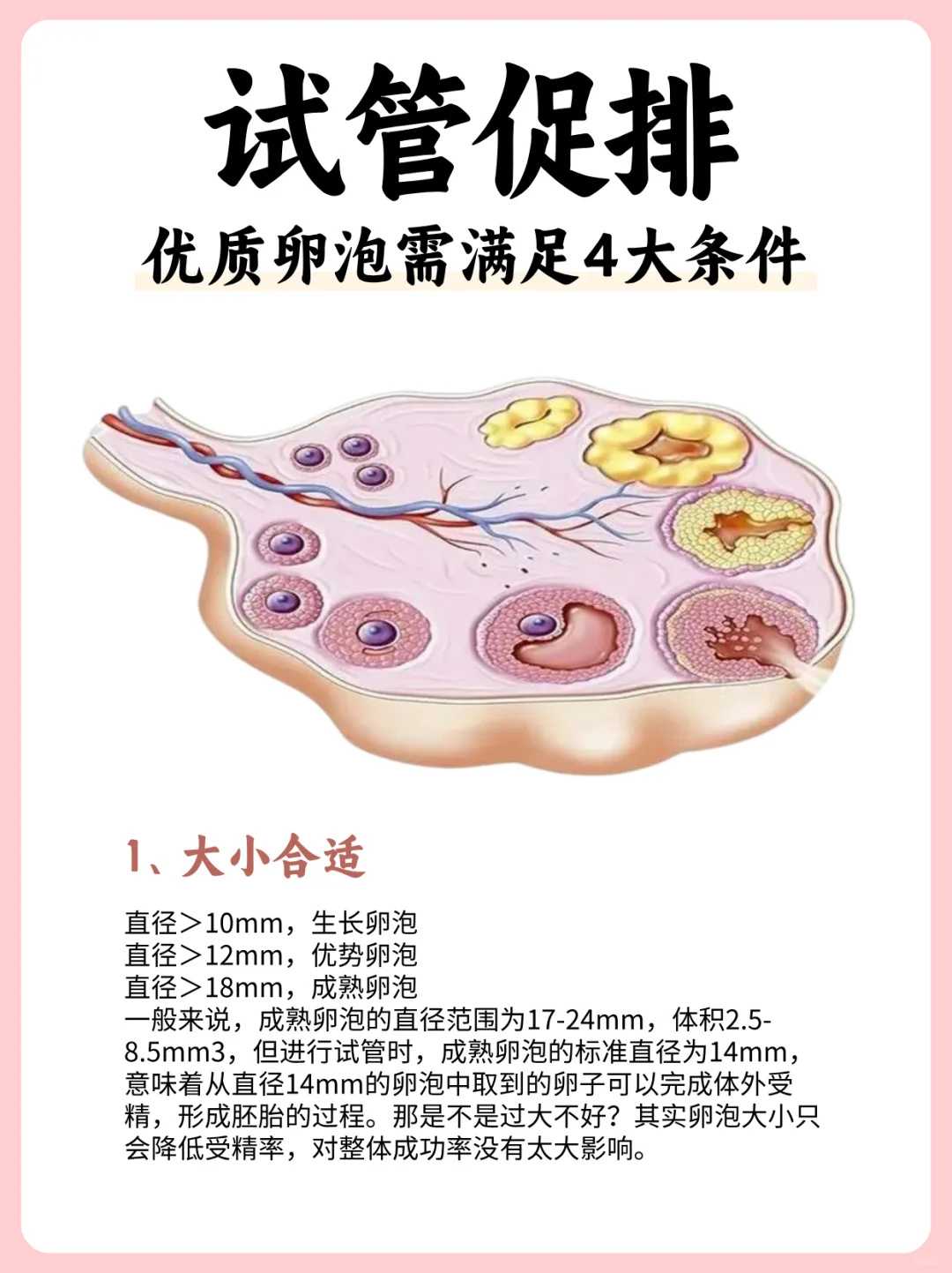 洛阳放生后死了（洛阳放生哪里好）