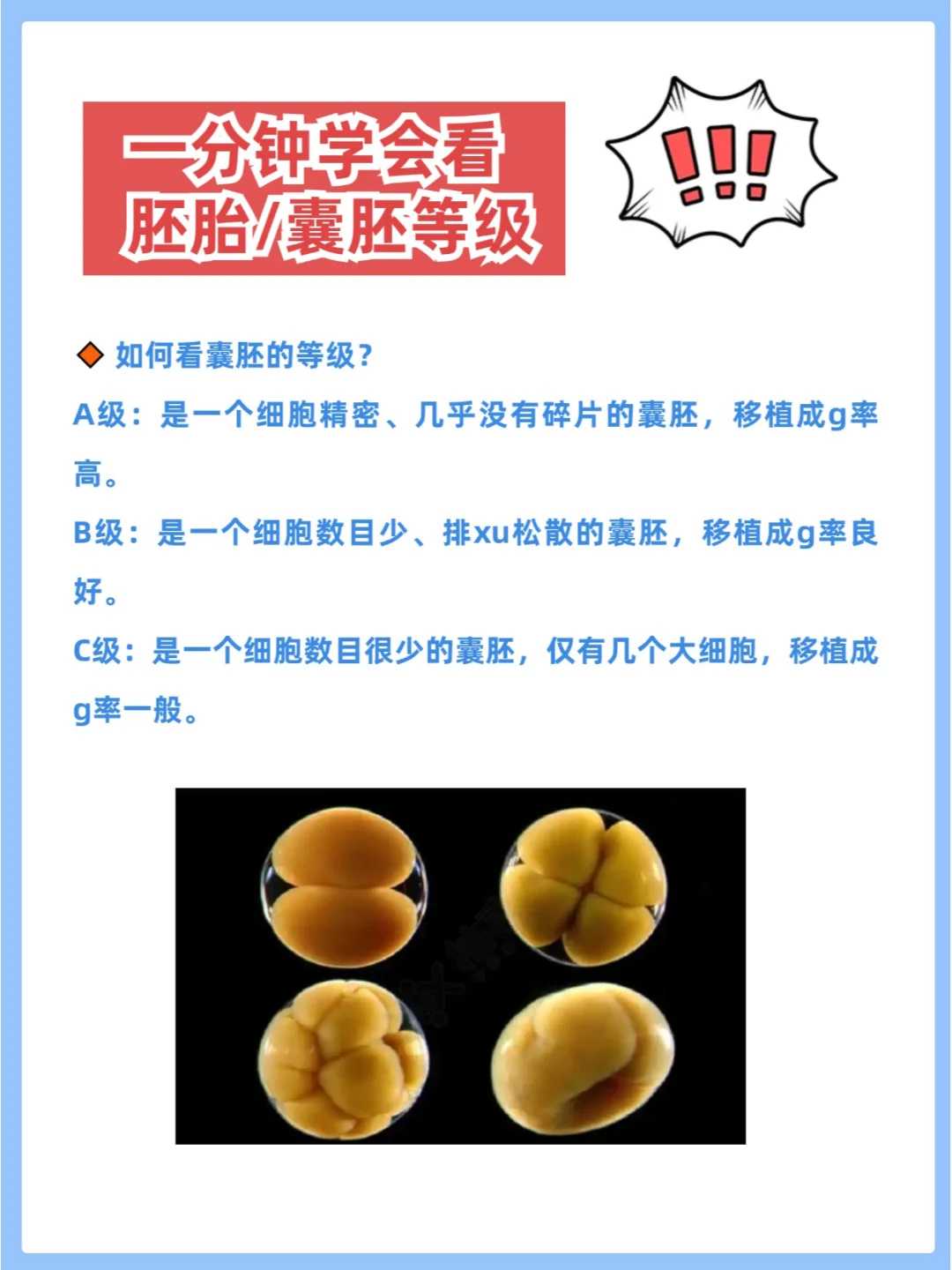 放生属于布施吗？，修福莫过于斋戒布施，修寿莫过于戒杀放生