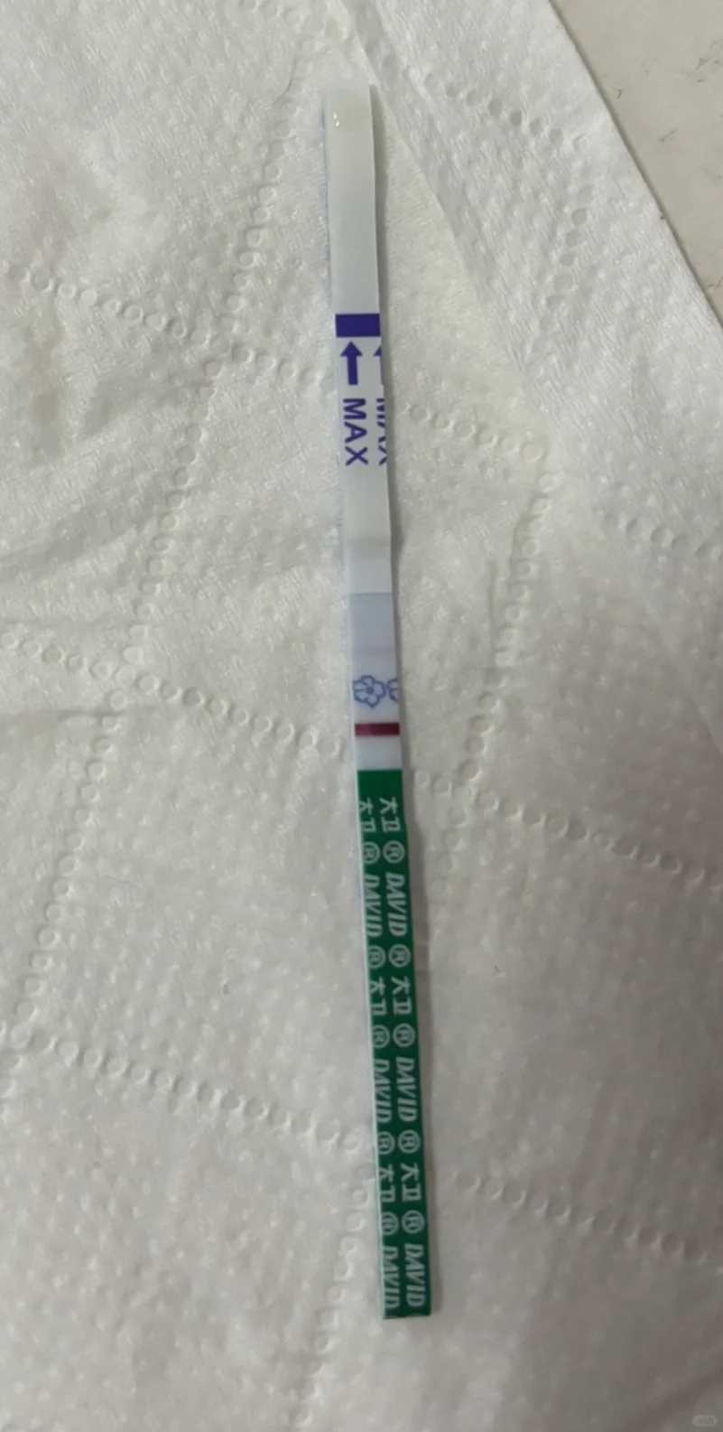 乌鲁木齐，放生对人有什么好处，家里养的锦鲤长大了能放生吗