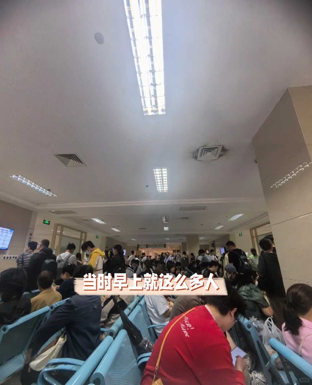 衡水蚯蚓放生功德实例，蚯蚓放生功德实例，多大的乌龟放生比较好