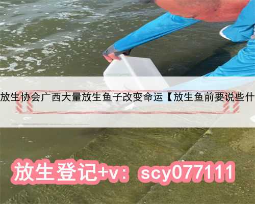 中国放生协会广西大量放生鱼子改变命运【放生鱼前要说些什么】