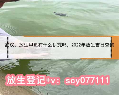 武汉，放生甲鱼有什么讲究吗，2022年放生吉日查询