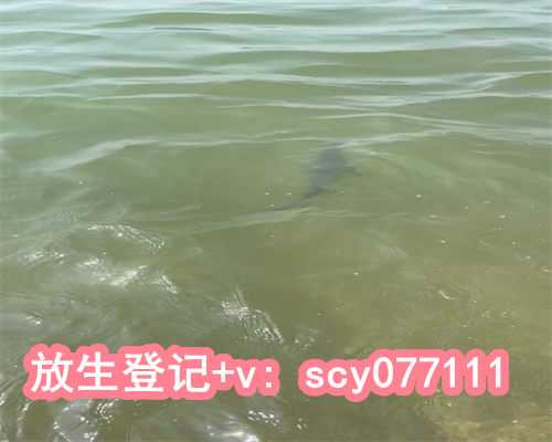 沧州可以为过世的人放生吗,沧州深圳放生鱼地点大全,沧州2023年12月适合放生的